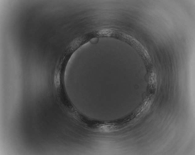 X0000102530504200809051512