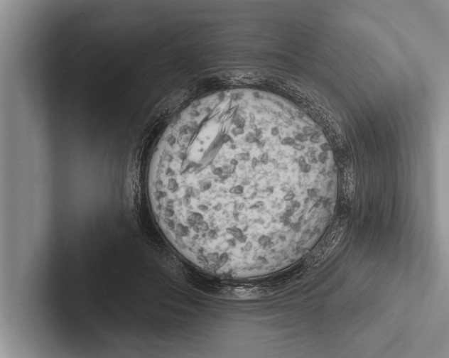 X0000102530506200809051512