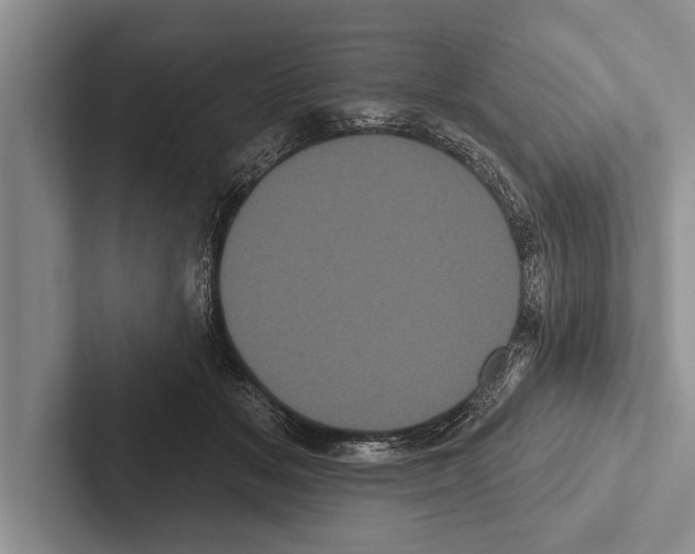 X0000102530509200809051512