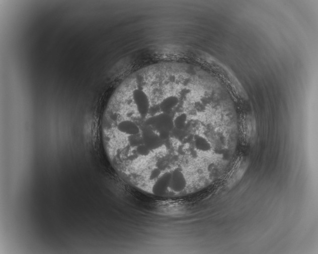 X0000102530511200809051512