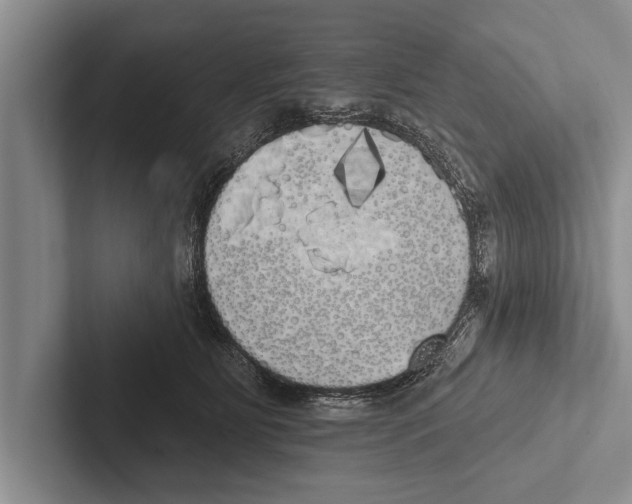 X0000102530515200809051512