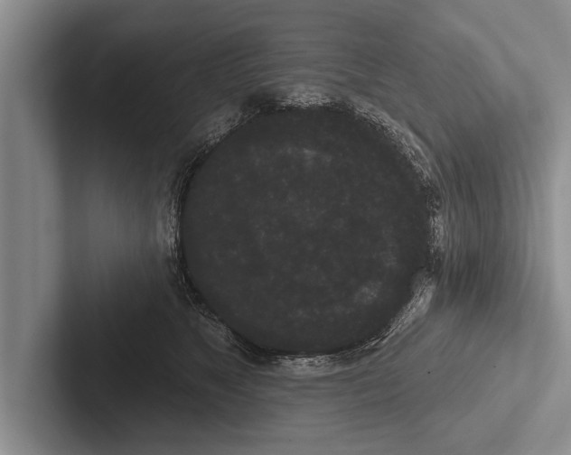 X0000102530517200809051512