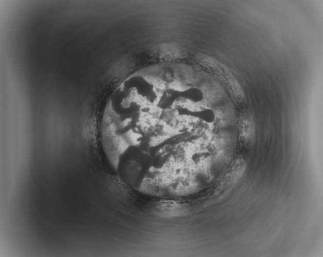 X0000102530519200809051512