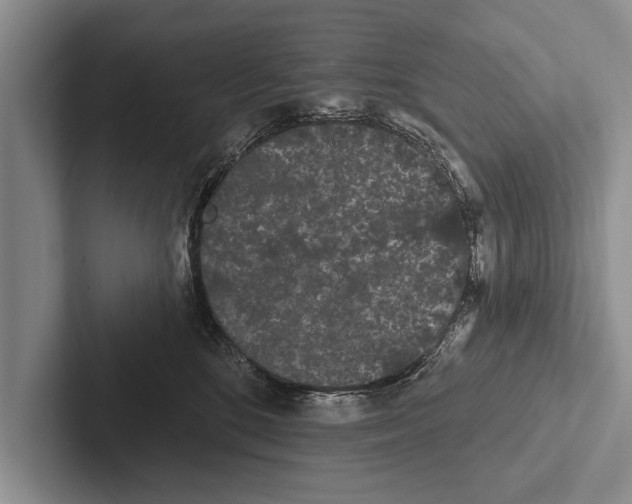 X0000102530520200809051512