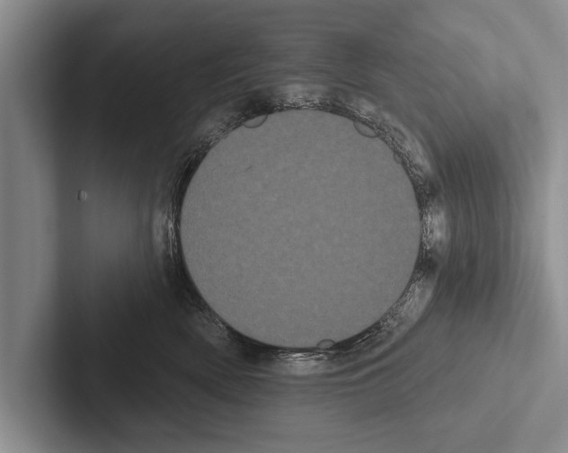 X0000102530522200809051512