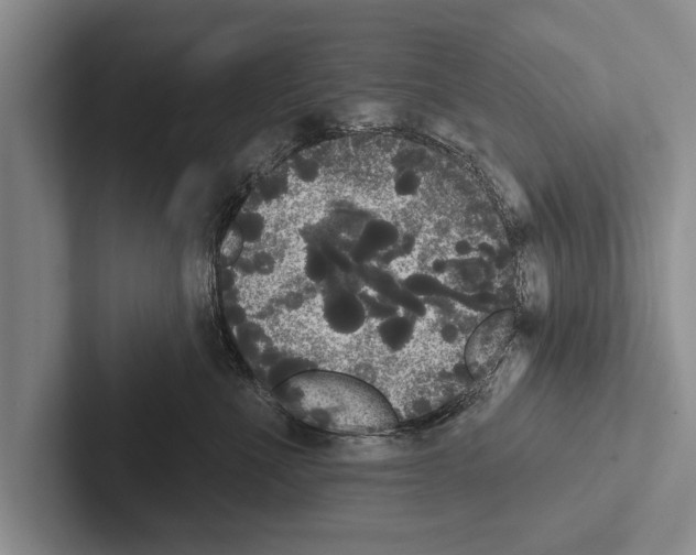 X0000102530523200809051512