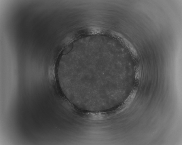 X0000102530524200809051512