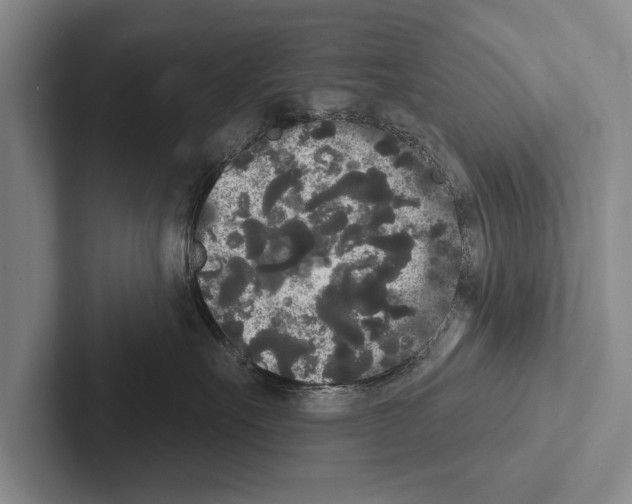 X0000102530527200809051512