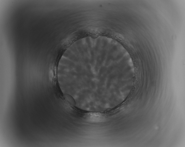X0000102530528200809051512