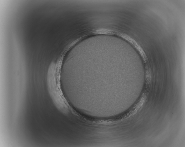 X0000102530529200809051511