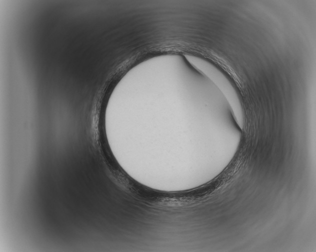 X0000102530538200809051511