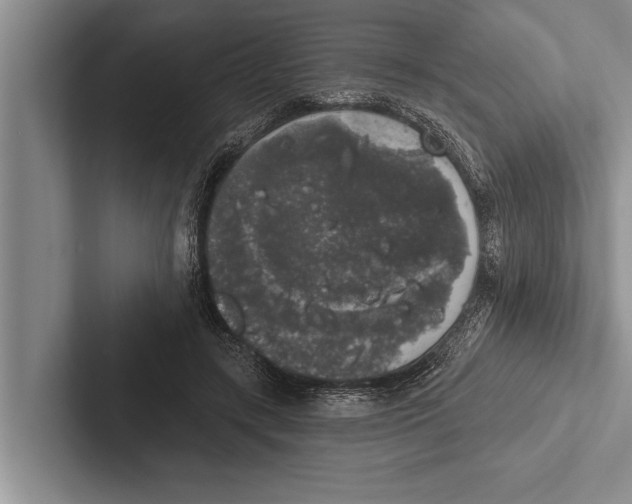 X0000102530547200809051511