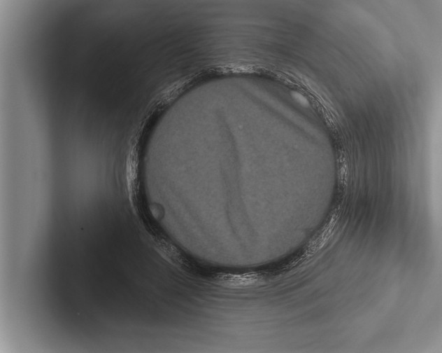 X0000102530548200809051511