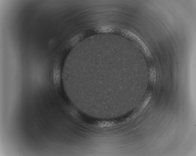X0000102530549200809051511