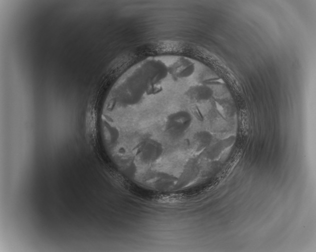 X0000102530550200809051511