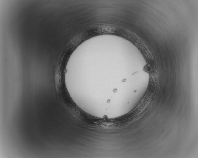 X0000102530552200809051511