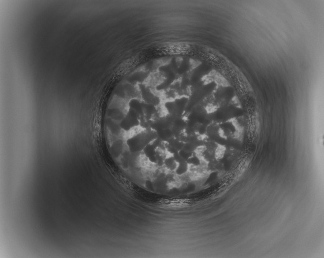 X0000102530553200809051511