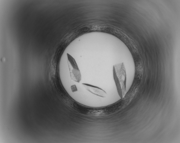 X0000102530554200809051511