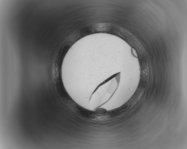 X0000102530555200809051511