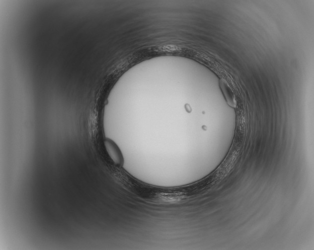X0000102530556200809051511
