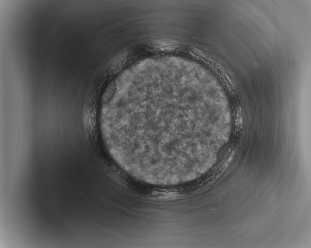 X0000102530559200809051511