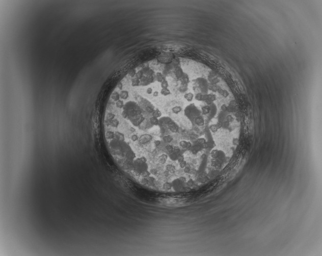 X0000102530561200809051512