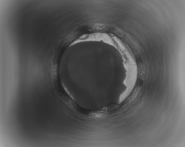 X0000102530563200809051512