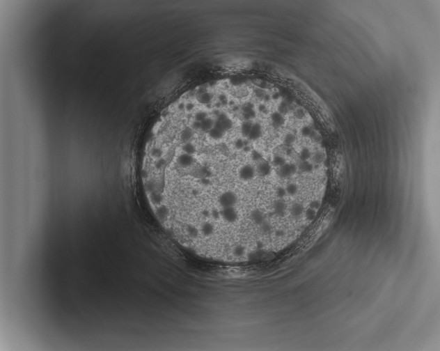 X0000102530565200809051512