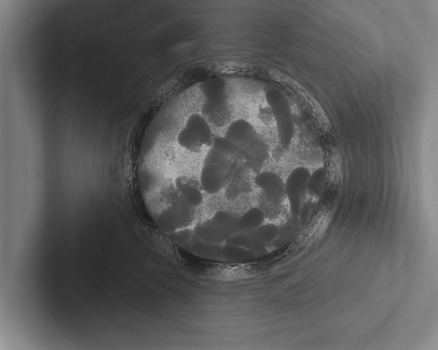 X0000102530569200809051512
