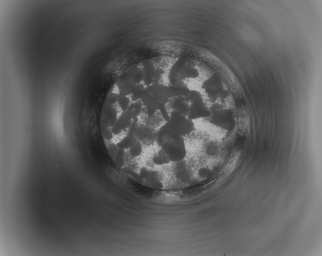X0000102530573200809051512