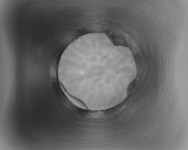 X0000102530576200809051512