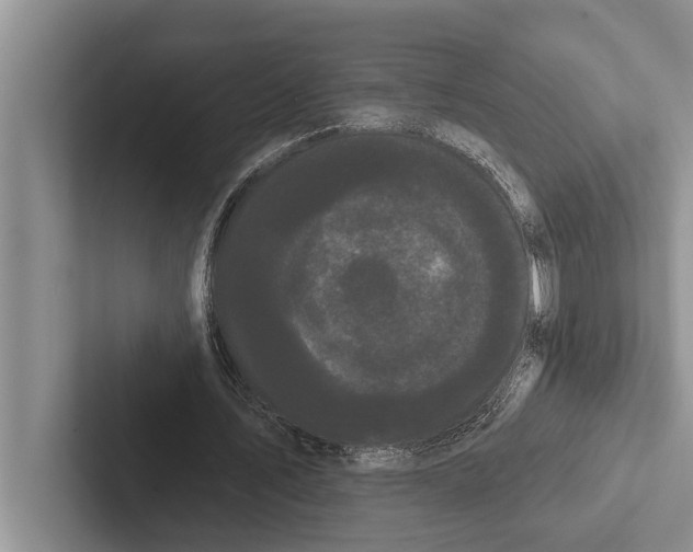 X0000102530579200809051511