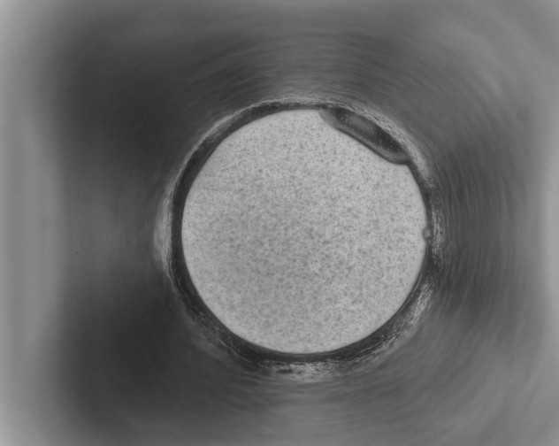 X0000102530580200809051511