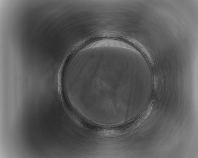 X0000102530581200809051511