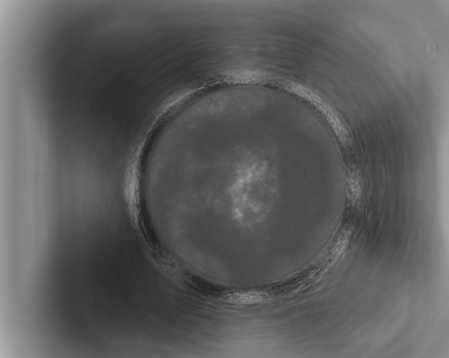 X0000102530583200809051511