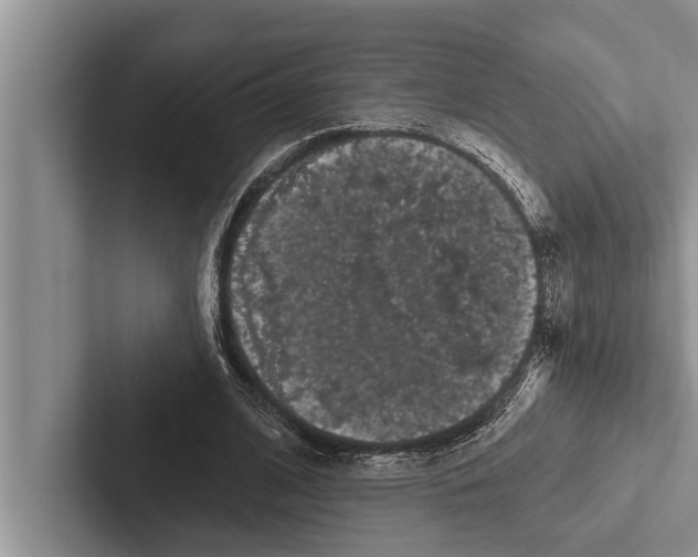 X0000102530584200809051511