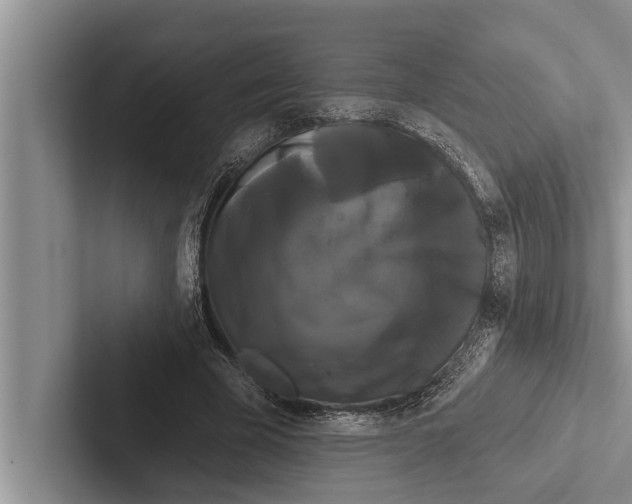X0000102530585200809051511
