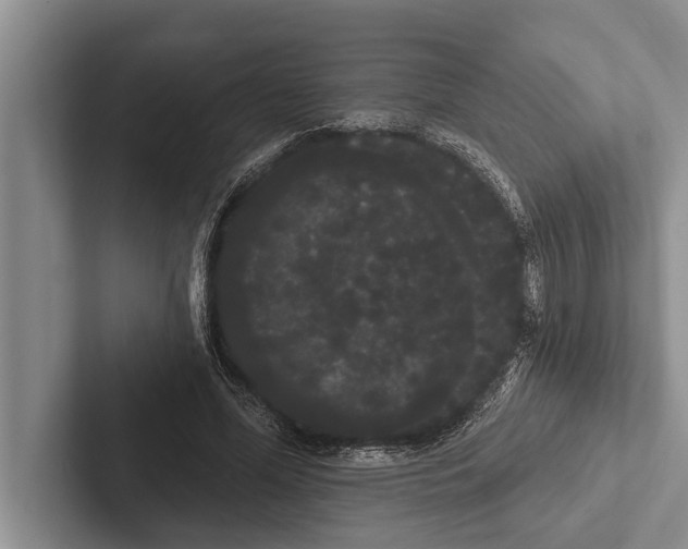 X0000102530588200809051511