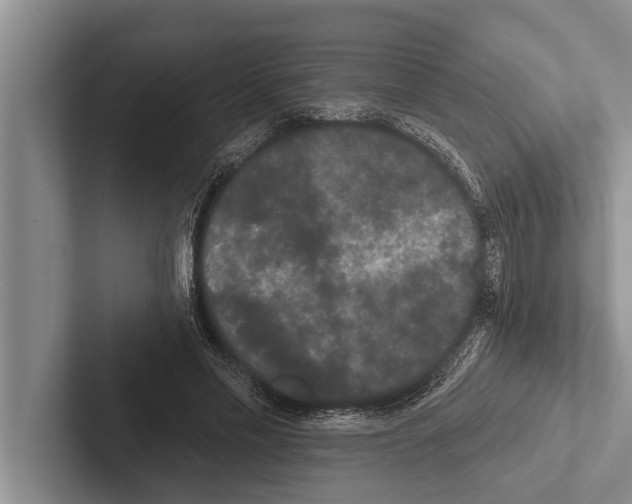 X0000102530589200809051511