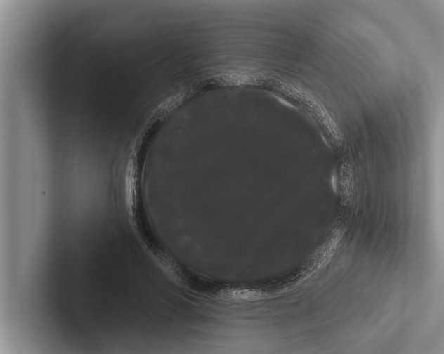 X0000102530590200809051511