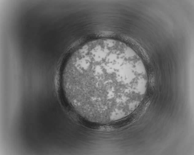 X0000102530591200809051511