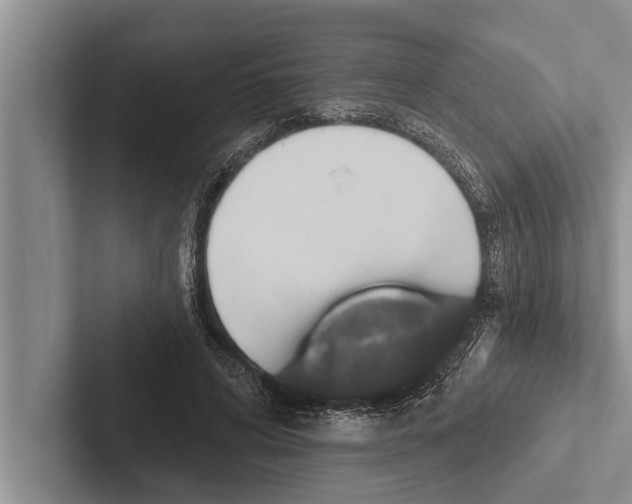 X0000102530592200809051511