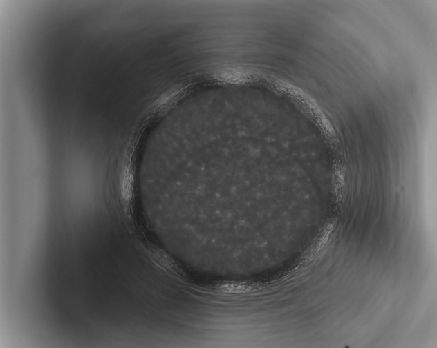 X0000102530596200809051511