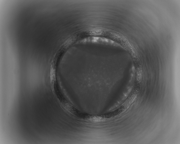 X0000102530598200809051511