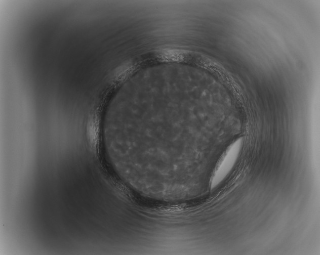 X0000102530600200809051511