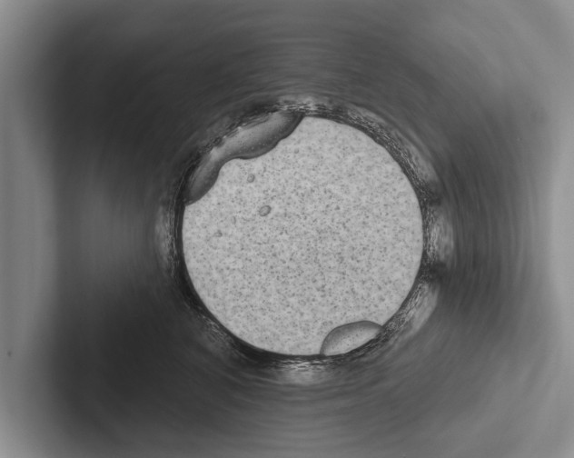 X0000102530616200809051510