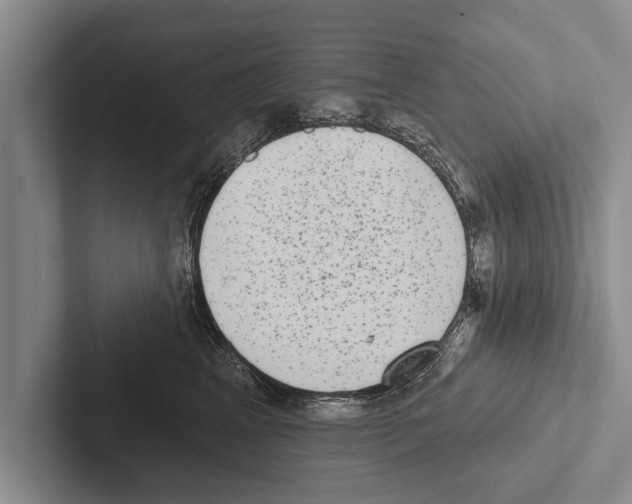 X0000102530617200809051510