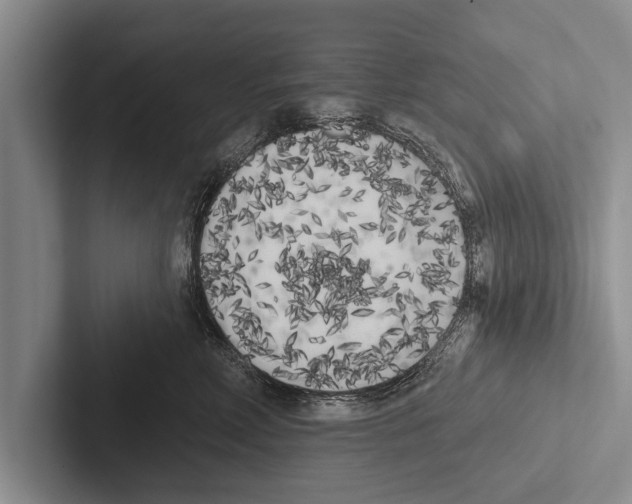 X0000102530618200809051510