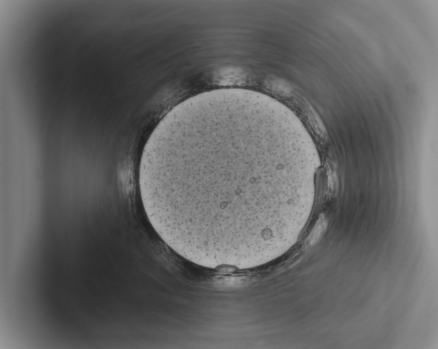 X0000102530620200809051510