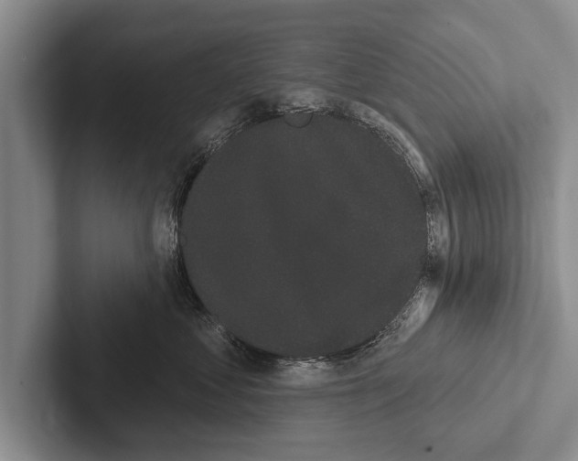 X0000102530621200809051510
